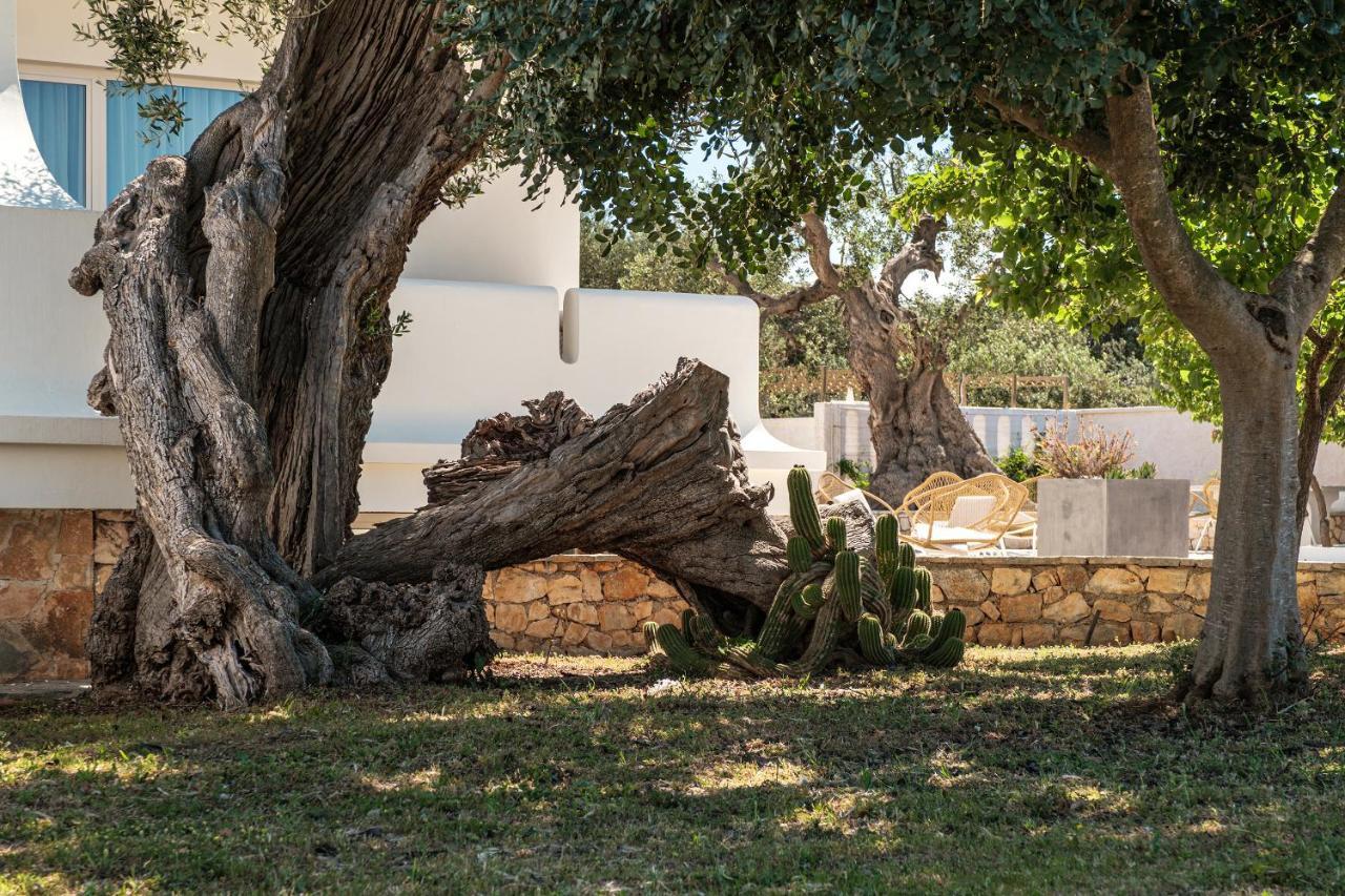 Al Mare Sea, Relax & Wellness *